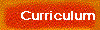  Curriculum 