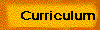  Curriculum 